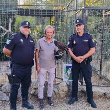 La Policía Nacional Adscrita recupera un águila rapaz e investiga un delito de maltrato animal