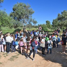 Los escolares de 4º y 5º de primaria visitan el Parque Olivar del Zaudín para ver la zona que se ha reforestado con 150 árboles