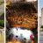 La Pará de Gines sigue creciendo  y llega a las 85.000 visitas