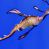 Los dragones del mar llegan al Acuario de Sevilla, una de las especies más extraordinarias del océano