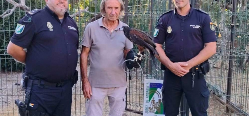 La Policía Nacional Adscrita recupera un águila rapaz e investiga un delito de maltrato animal