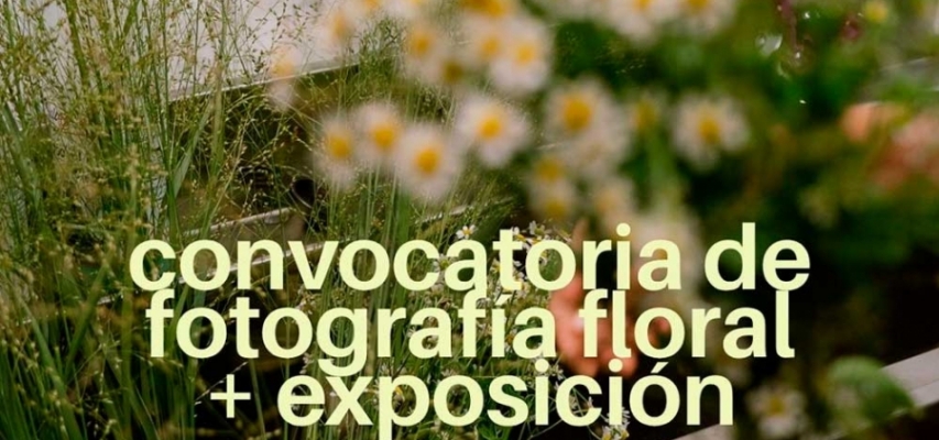 Proyecto Julita y Blanco Azahar presentan ‘¡Flores, flores!’, un concurso fotográfico sobre el poder emocional de las flores