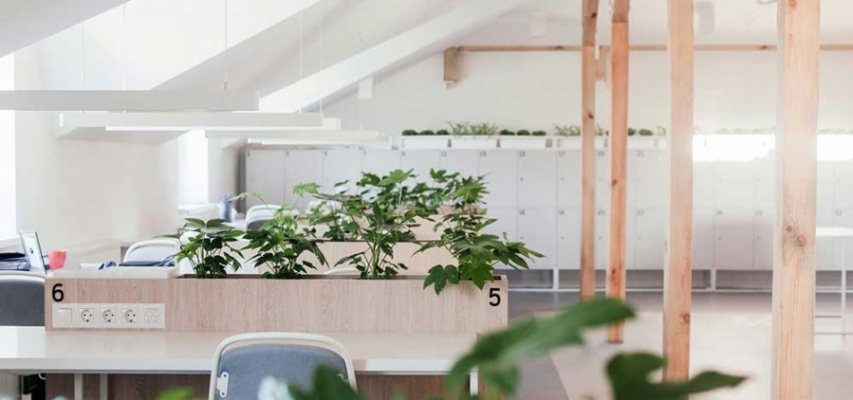 Cómo están cambiando los pequeños negocios andaluces para ser más seguros, visibles y eficientes