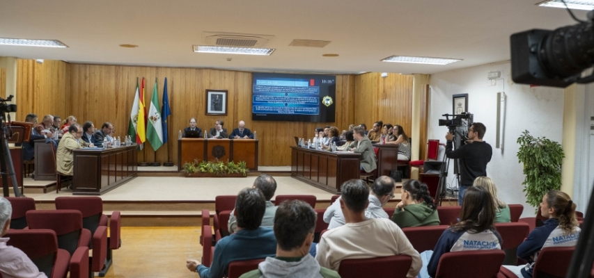 Mairena aprueba instar a la implantación del régimen de franquicia del IVA