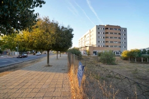 El Ayuntamiento de Mairena del Aljarafe adjudica las obras de la primera promoci&oacute;n de VPO de su nuevo Plan de Vivienda