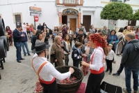 Visitas a las bodegas, mucha gastronom&iacute;a y pisada de la uva en Villanueva del Ariscal