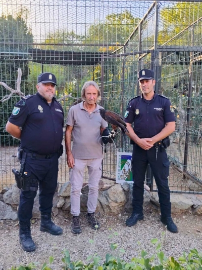 La Polic&iacute;a Nacional Adscrita recupera un &aacute;guila rapaz e investiga un delito de maltrato animal
