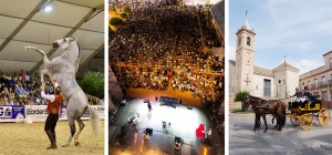 La Par&aacute; de Gines sigue creciendo  y llega a las 85.000 visitas