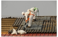 Olivares procede a la retirada de los elementos constructivos con amianto en el colegio El Prado