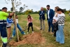 El Ayuntamiento de Tomares y Prezero impulsan un proyecto para plantar m&aacute;s de medio millar de &aacute;rboles nuevos en el municipio