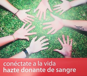 El Centro de Transfusi&oacute;n, Tejidos y C&eacute;lulas de Sevilla necesita donaciones de sangre