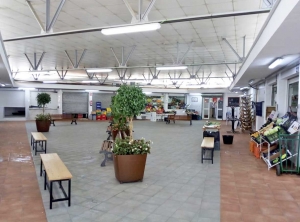 Nueva imagen del mercado municipal de abastos de Olivares tras su reciente remodelaci&oacute;n