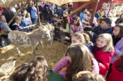 Mairena es Bel&eacute;n