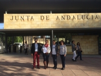 Entrega de firmas tras agravarse el peligro de derrumbe del muro de un colegio de Coria del R&iacute;o