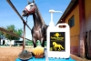 Cleanser lanza un champ&uacute; especial para caballos que mantiene el pH del pelo y est&aacute; libre de parabenos y al&eacute;rgenos