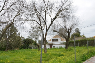 El Ayuntamiento de Tomares saca a la venta desde 91.000 euros ocho parcelas para viviendas unifamiliares en las Almenas