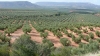 Las exportaciones andaluzas crecen un 4,6% en Noviembre y acumulan un super&aacute;vit de 1.217 millones en los once primeros meses de 2019