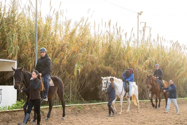 El Ayuntamiento de Mairena inicia su programa &lsquo;Equinoterapia&rsquo; para estudiantes con NEE