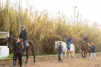 El Ayuntamiento de Mairena inicia su programa &lsquo;Equinoterapia&rsquo; para estudiantes con NEE