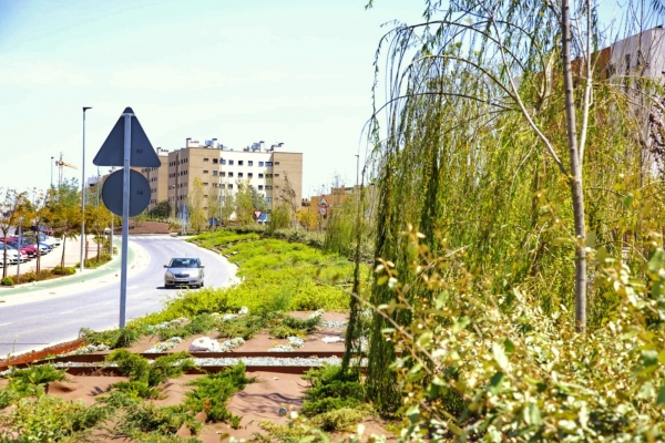 915 &aacute;rboles completar&aacute;n la Ronda Sur de Mairena del Aljarafe