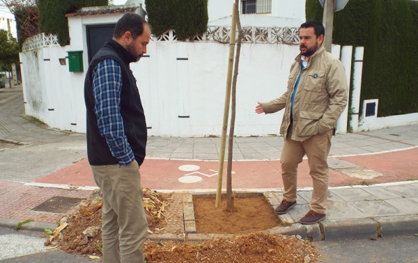 100 nuevos &aacute;rboles en distintas  zonas de Gines gracias a la campa&ntilde;a  de plantaci&oacute;n y reposici&oacute;n iniciada por el Ayuntamiento
