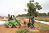 Plantación de los primeros árboles en la zona norte del Parque Central de Mairena del Aljarafe