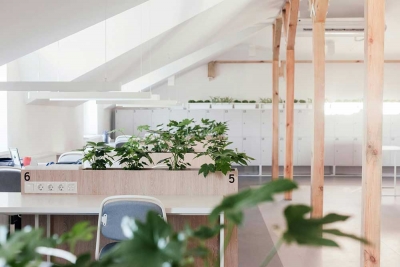 Cómo están cambiando los pequeños negocios andaluces para ser más seguros, visibles y eficientes