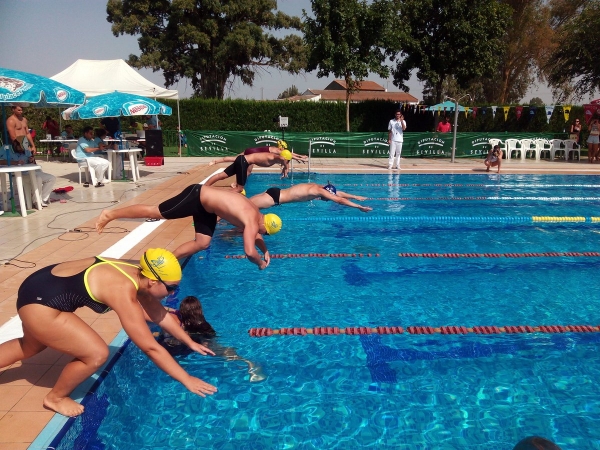 El Club Nataci&oacute;n  Mairena brill&oacute; en el cierre de las Jornadas Clasificatorias de la Diputaci&oacute;n de Sevilla celebrado en La Puebla