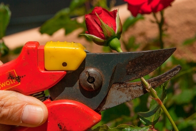 Castilleja de la Cuesta apuesta por los programas Emple@joven y Emple@+30