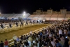 El sábado 8 de octubre llega a La Pará de Gines el espectáculo ‘Cómo bailan los caballos andaluces’