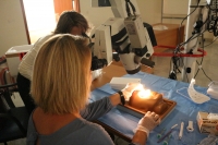 El Hospital San Juan de Dios del Aljarafe intensifica su actividad formativa en el primer semestre del a&ntilde;o