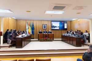 El Pleno de Mairena insta a la Junta a que el hospital del Aljarafe sea de gestión pública