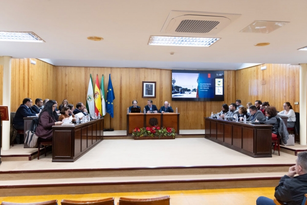 El Pleno de Mairena insta a la Junta a que el hospital del Aljarafe sea de gesti&oacute;n p&uacute;blica