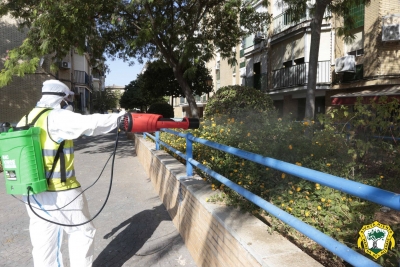 Mairena inicia la fase de inspecci&oacute;n de colonias de mosquitos