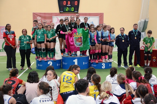 La Federación Andaluza de Voleibol solicitará que Tomares sea la sede del campeonato de España