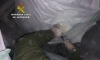 Desarticulada una organizaci&oacute;n internacional de tr&aacute;fico de hach&iacute;s que operaba desde el Aljarafe al Norte de Europa