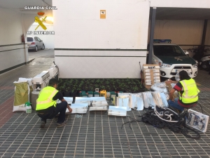 La Guardia Civil desmantela una plantaci&oacute;n de marihuana en una casa ocupada ilegalmente