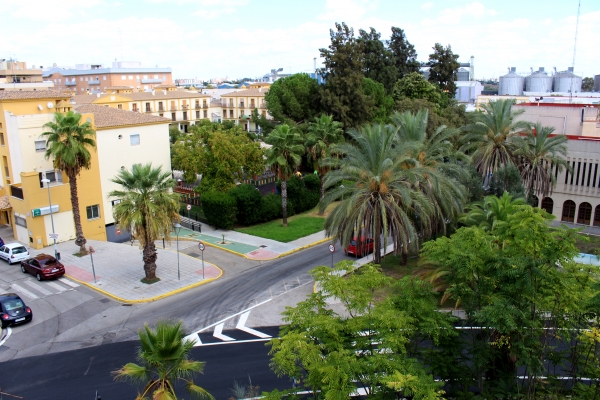 El Ayuntamiento de San Juan de Aznalfarache licita el mantenimiento y limpieza de parques y jardines