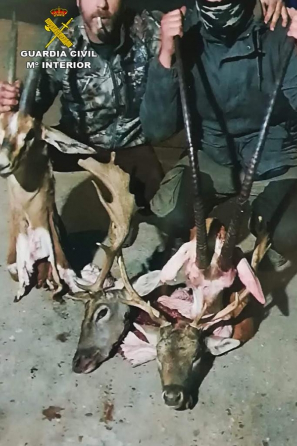La Guardia Civil investiga a tres cazadores de especies protegidas en la reserva de El Castillo de las Guardas