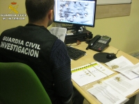 La Guardia Civil desmantela una peligrosa organizaci&oacute;n que asaltaba chalets