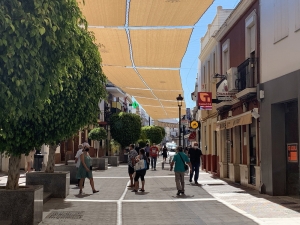 El ayuntamiento de Tomares, uno de los pocos de Andaluc&iacute;a, que ha mantenido el 100% de sus contratos municipales durante el estado de alarma