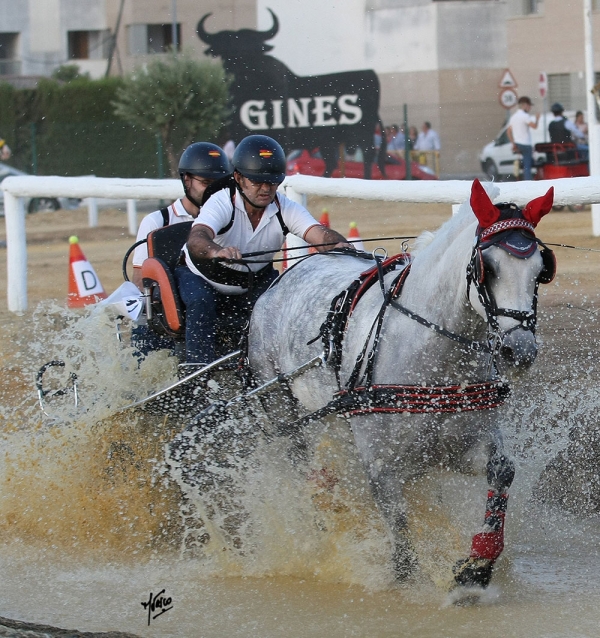 Velocidad y manejabilidad en la VI Prueba Combinada de Enganche Social de la Par&aacute; de Gines