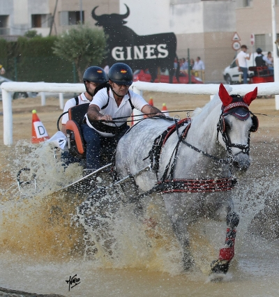 Velocidad y manejabilidad en la VI Prueba Combinada de Enganche Social de la Par&aacute; de Gines