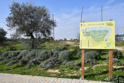 El Ayuntamiento de Tomares va a iniciar las obras del Quiosco-Bar del Parque Olivar del Zaud&iacute;n