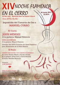 La XIV Noche Flamenca en el Cerro de San Juan de Coria del R&iacute;o vuelve a ofrecer el mejor espect&aacute;culo