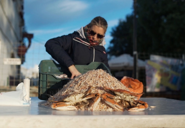 Nueve municipios ribere&ntilde;os urgen una reuni&oacute;n con la Consejera de Agricultura para el desarrollo del estuario del Guadalquivir