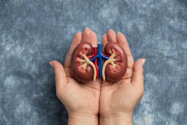 Profesionales sanitarios y pacientes advierten del crecimiento de la Enfermedad Renal Cr&oacute;nica en Andaluc&iacute;a, donde m&aacute;s de 12.000 personas necesitan de tratamiento de di&aacute;lisis o trasplante para poder seguir viviendo