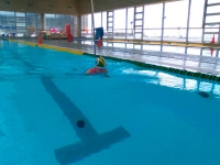 Gran fiesta del deporte en la II Jornada de la Liga de Promoci&oacute;n de la Nataci&oacute;n en Mairena del Aljarafe