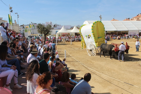 &lsquo;Una Par&aacute; en Gines&rsquo;, declarada Acontecimiento de Inter&eacute;s Tur&iacute;stico de Andaluc&iacute;a